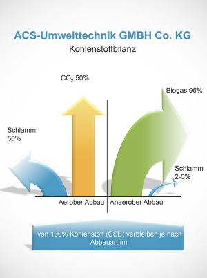 Aerober Abbau Anaerober Abbau Vergleich